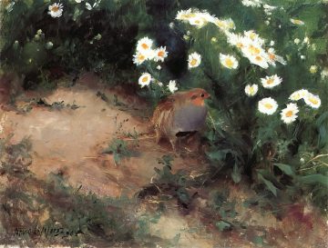 Яребица с маргаритки