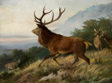 Благороден елен на хълм 1888