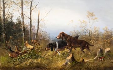 Две ловни кучета намират фазани