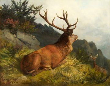 Пейзаж с елен