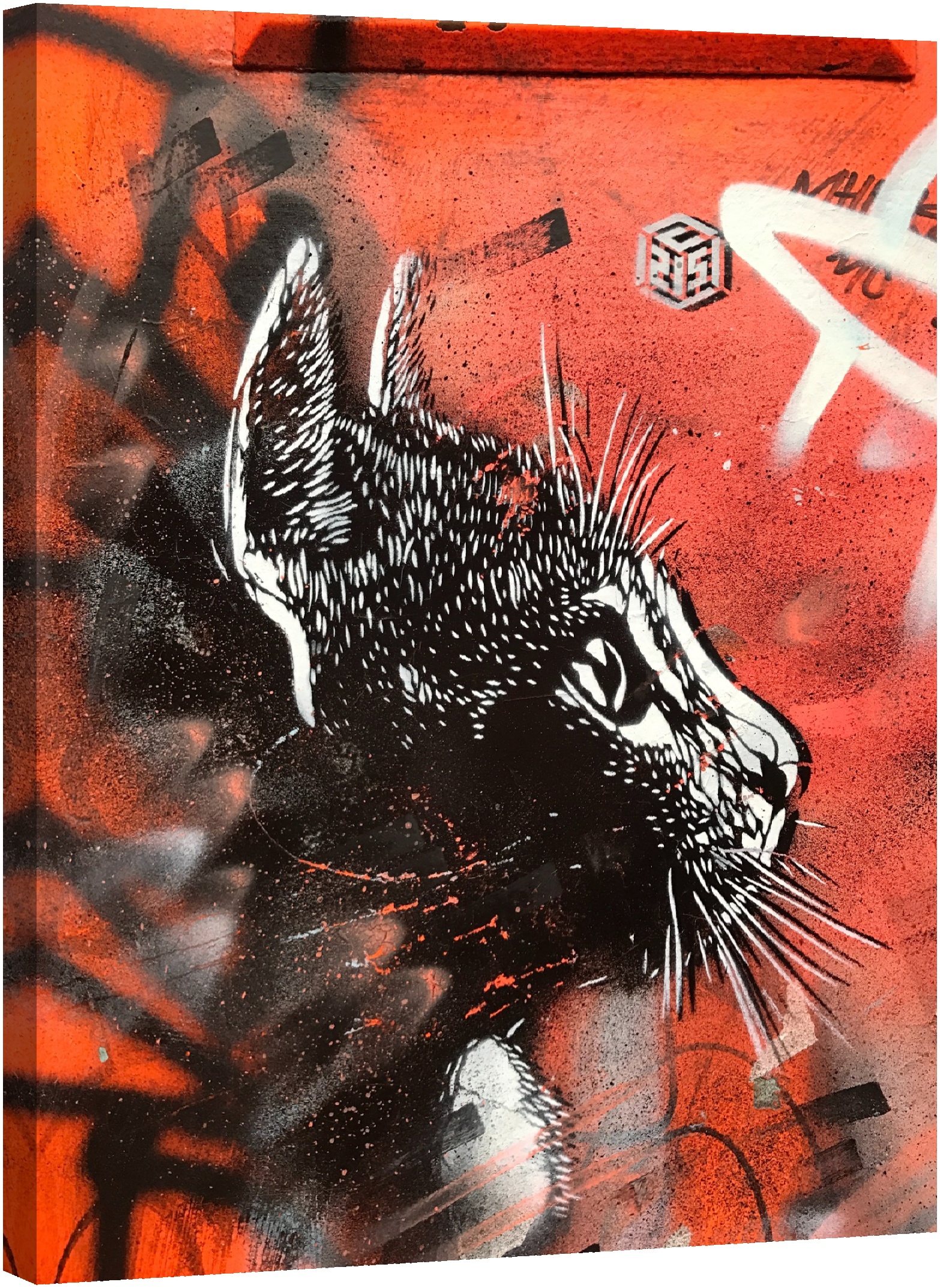 Улична котка