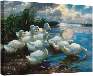 Патици на езеро 2