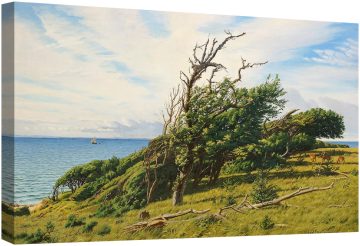 Крайбрежна зона с дивеч, защитена от вятърни дървета