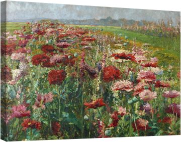 Цъфтящи макове 1900