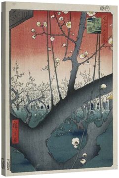 Цъфнали сливи