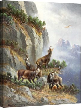 Диви кози в защита 1845