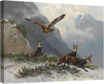 Диви кози във високите планини