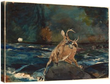 Добър удар, Адирондакс