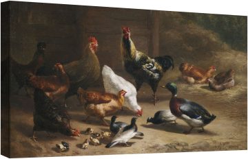 Домашни птици в плевнята