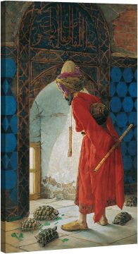 Дресьорът на костенурки