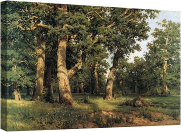 Дъбова горичка 1887г