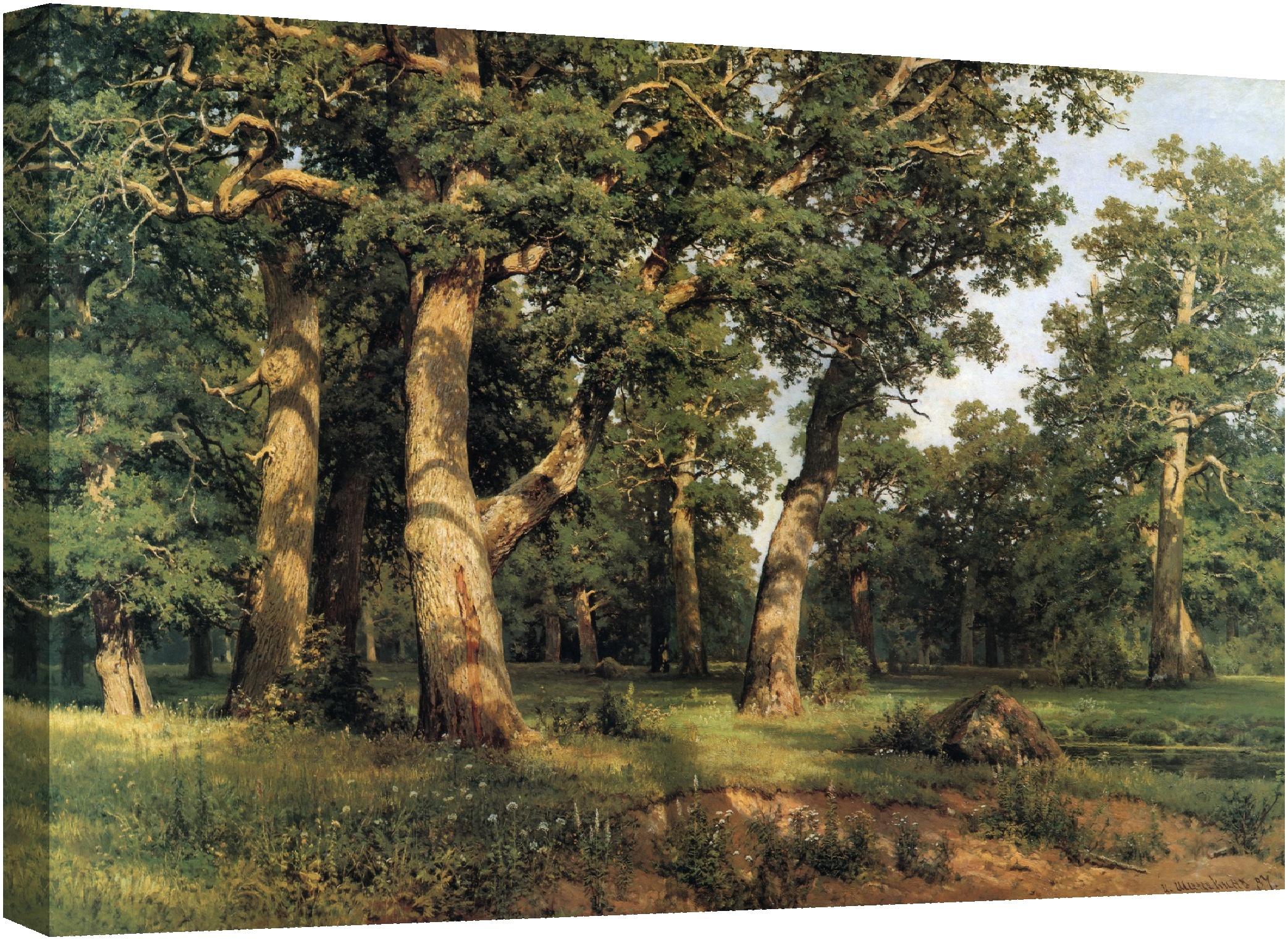 Дъбова горичка 1887г