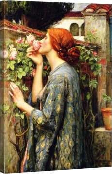 Душата на розата 1908