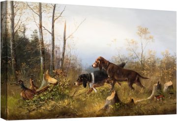 Две ловни кучета намират фазани