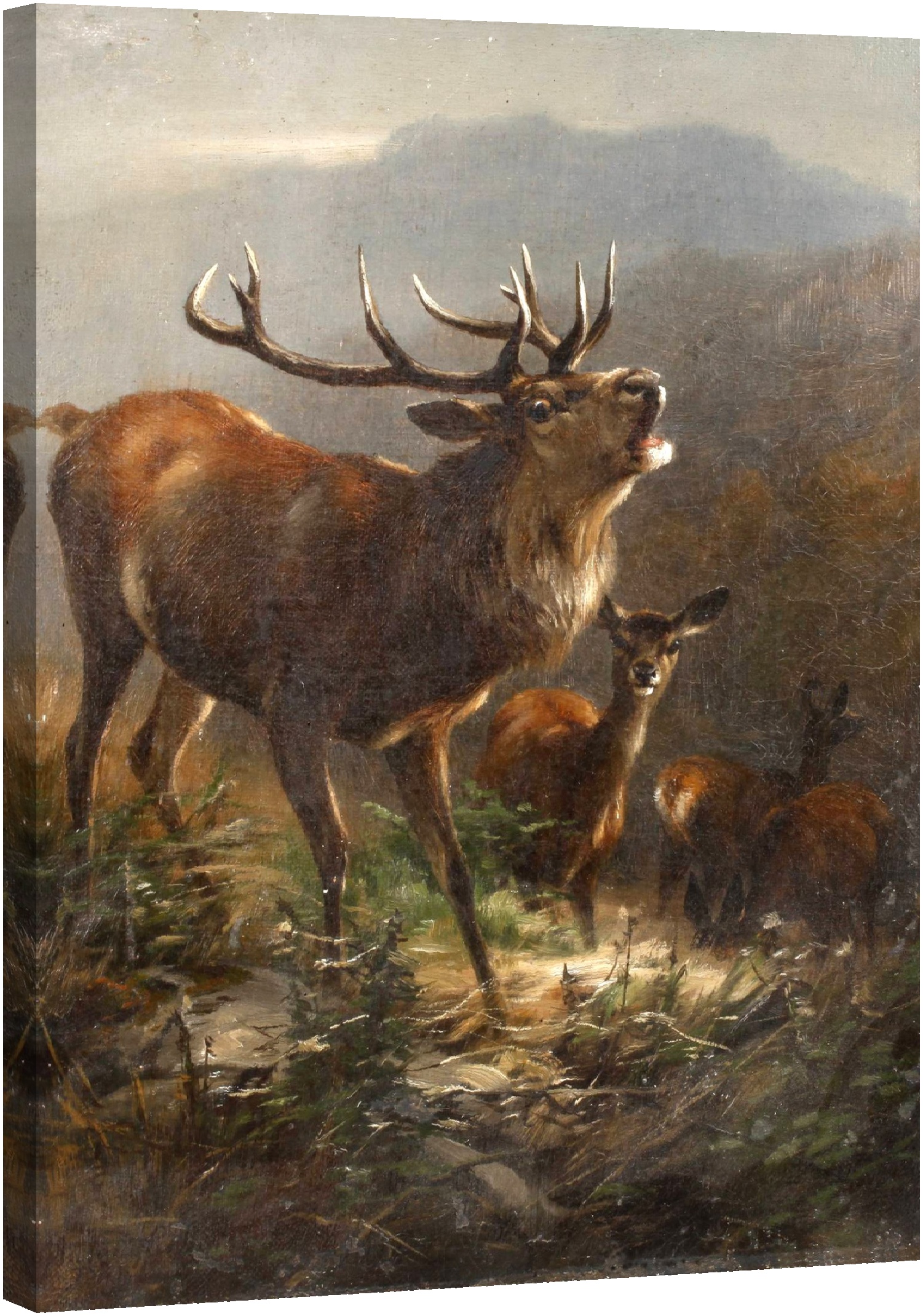 Елен 1890