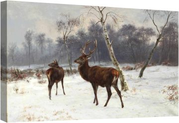 Елени и сърни в снежен пейзаж