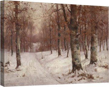 Гора през зимата