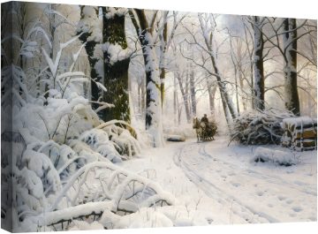 Гора през зимата 33