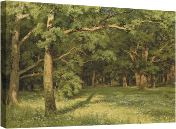 Сеченето на гората 1896г