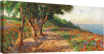 Изпълнена с бряст алея в Евксиноград