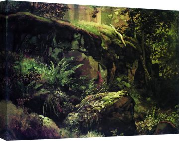 Камъни в гората