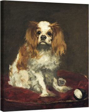 Кинг Чарлс Шпаньол