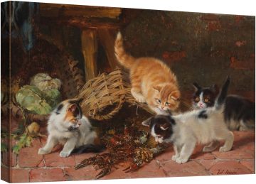 Котешка игра