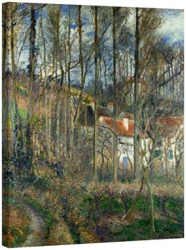 Крайбрежието на Оксен 1877