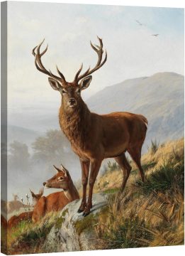 Кралски елен