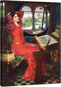 Лейди Шалот, сенките 1916