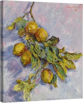 Лимони на клонка