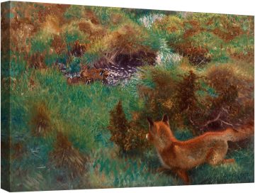 Лисица дебне диви патици 1913