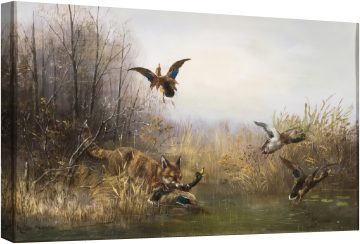 Лисицата хваща дива патица на брега на езерото