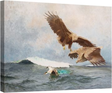 Ловуващи морски орли