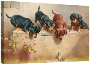 Любопитни кученца и жаба