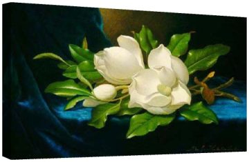 Магнолии на синьо кадифе