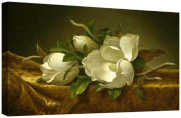 Магнолии на златисто кадифе