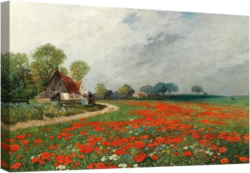 Маково поле с маргаритки