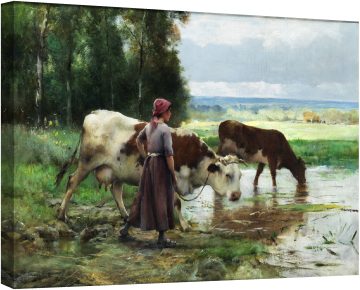 Млада жена, която пои добитък