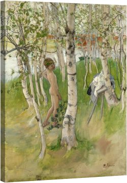 Момченце, сутрин сред брезите