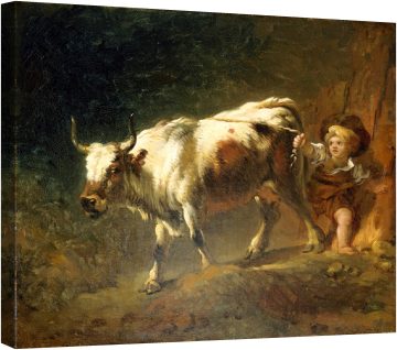 Момче, опитващо се да задържи крава с въже