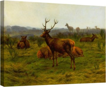 Монархът на стадото 1868