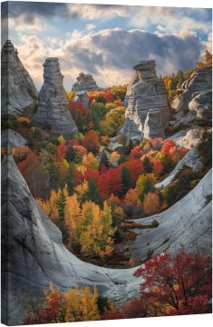 Огнените цветове на природата