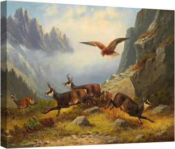 Орел напада диви кози 1878