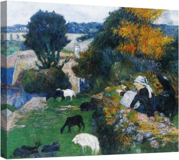 Овчарката от Бретон