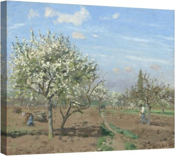 Овощна градина в цъфтеж, Лувесиен