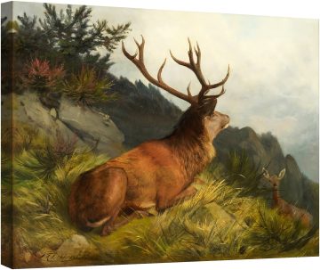 Пейзаж с елен