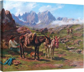 Пиренеите 1879