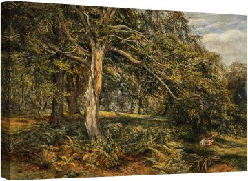 Поляна в гората Кадзоу