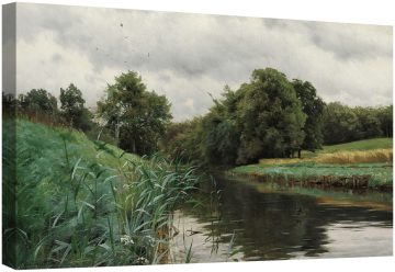 Поток с птици 1898